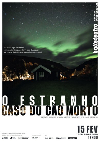 o estranho caso do cao morto