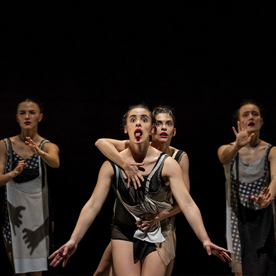 'De Limiar em Limiar: a Taciturna, o Presente Frágil e os Processos de Criação na Dança Contemporânea' - Conferência da Nuisis