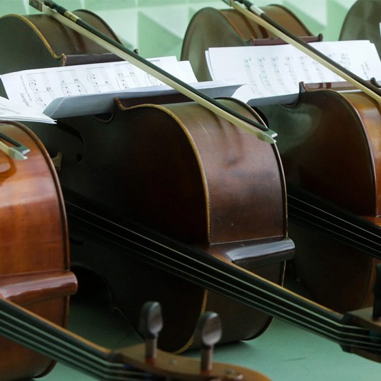 Ensemble de Violoncelos da ESMAE - Casa da Música