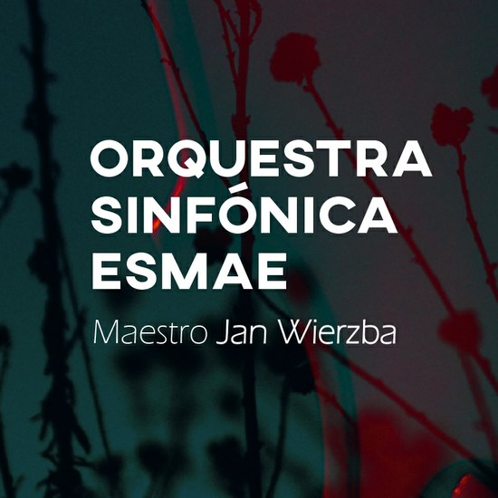Orquestra Sinfónica ESMAE apresenta programa de Dvořák e Tchaikovsky