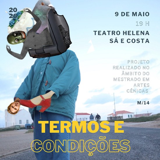 Termos e Condições 
